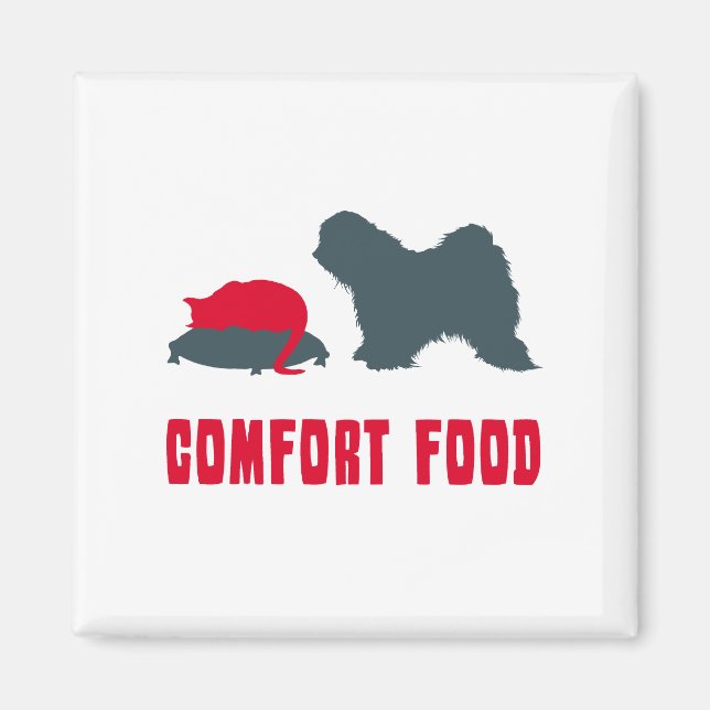 Imã Tibetano Terrier (Frente)