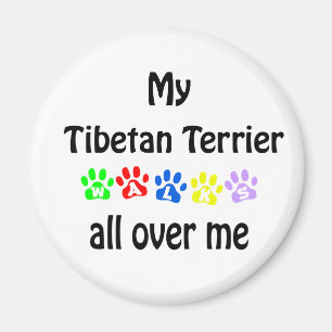 Imã Tibetano Terrier Walks Design