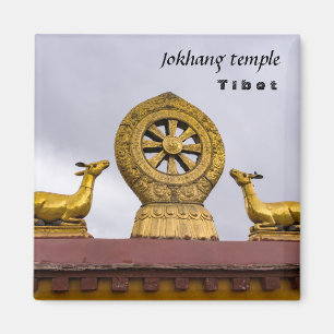 Imã Tibete, Lhasa - Roda Dharma no templo Jokhang