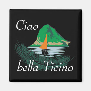 Imã Ticino Svizzera/Tessin Suíça íman