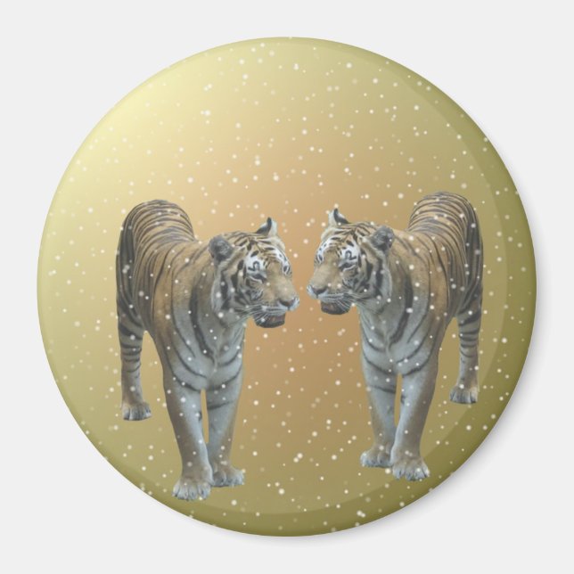 Imã Tiger Buddies (Frente)