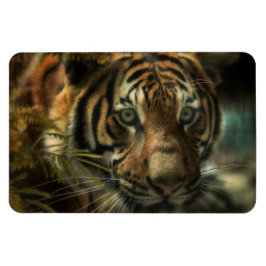 ÍMÃ TIGER GROUND ZERO