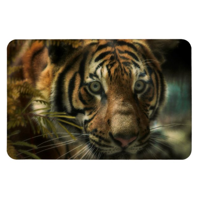 ÍMÃ TIGER GROUND ZERO (Horizontal)