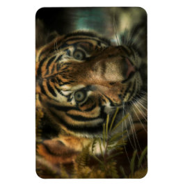 ÍMÃ TIGER GROUND ZERO