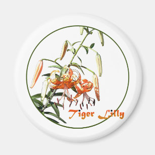 Imã Tiger Lilly