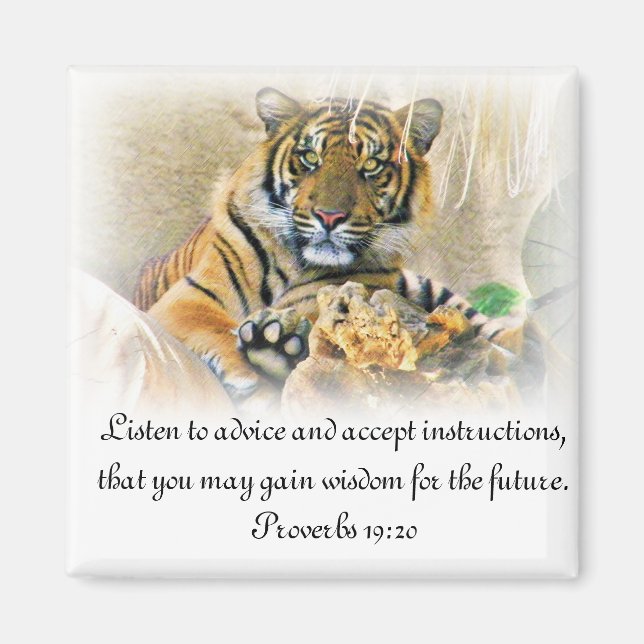 Imã Tiger,Procurando_ (Frente)