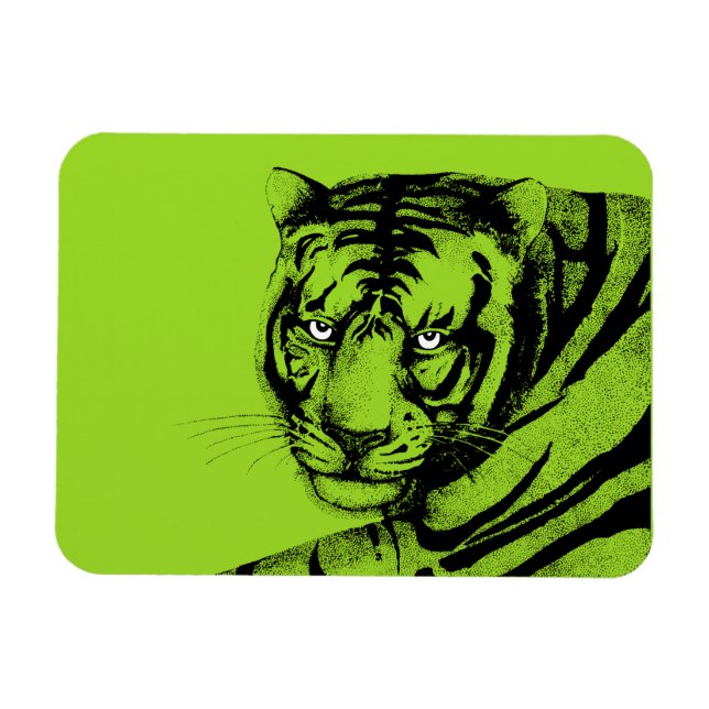 ÍMÃ TIGRE (Horizontal)