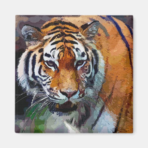 Imã Tigre