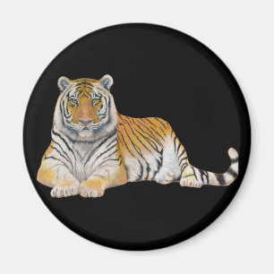 Imã Tigre