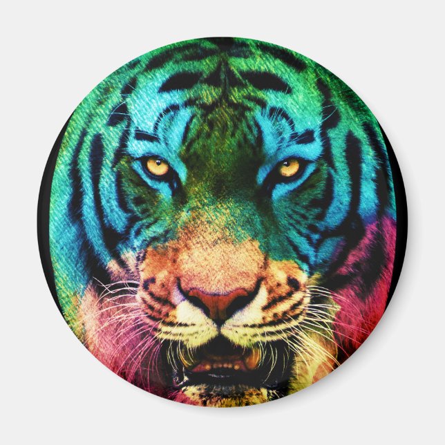 Imã Tigre Arco-íris (Frente)