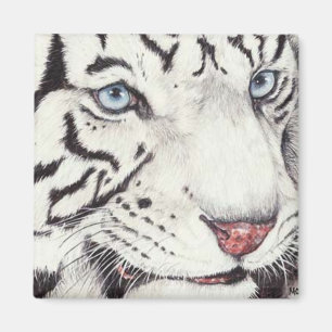 Imã Tigre branco