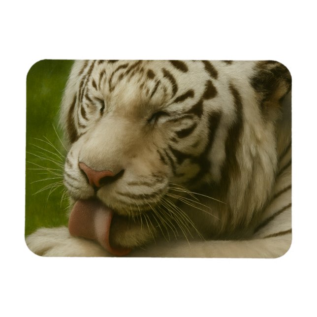 Ímã Tigre Branco no Ritual de Alinhamento Privado (Horizontal)