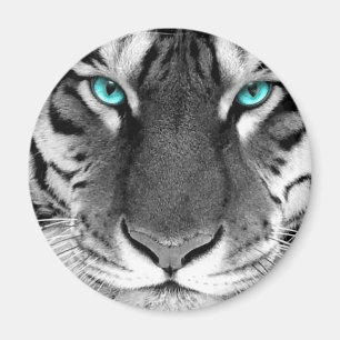 Imã Tigre Branco Preto