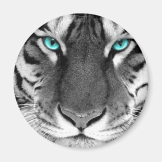 Imã Tigre Branco Preto