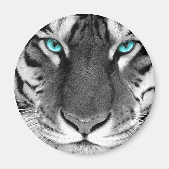 Imã Tigre Branco Preto (Frente)