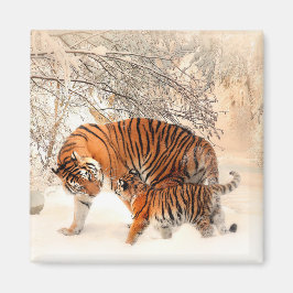 Imã Tigre com cubo na neve do inverno
