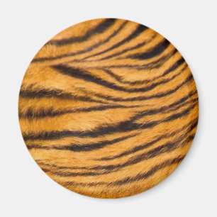 Imã Tigre com pelo Preto e Laranja Personaliza-o