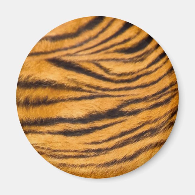 Imã Tigre com pelo Preto e Laranja Personaliza-o (Frente)