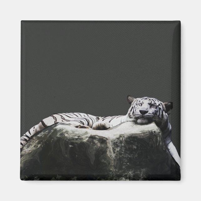 Imã Tigre de neve branca - Grande Gato dormindo (Frente)