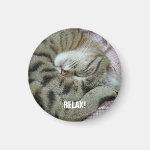 Imã Tigre-Gato