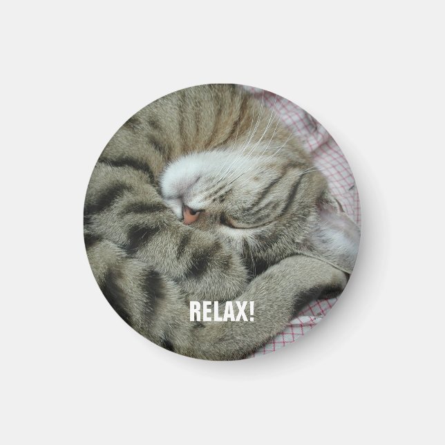 Imã Tigre-Gato Dormente (Frente)