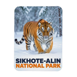 Ímã Tigre no Parque Nacional Sikhote Alin Rússia