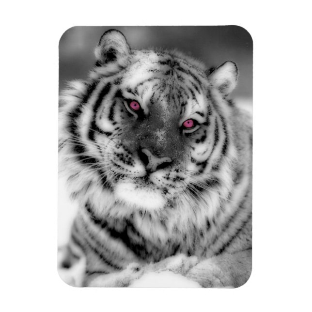 Ímã Tigre Olhado Rosa (Vertical)