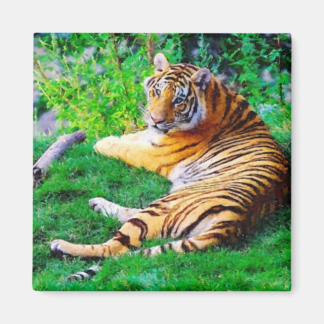 Imã Tigre pintado de salgadinho na fauna selvagem (Frente)