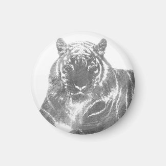 Imã Tigre Preto e Branco