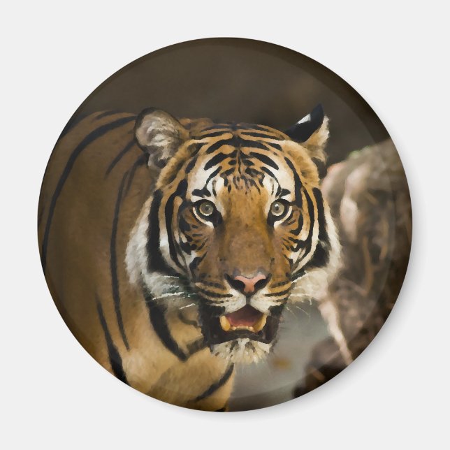 Imã Tigre Siberiano (Frente)