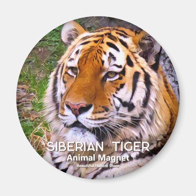 Imã Tigre Siberiano ímã (Frente)