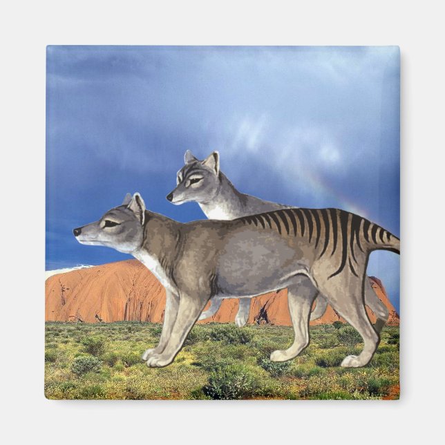 Imã Tigre Tasmânico (Frente)