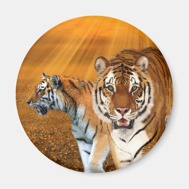 Imã Tigres (Frente)