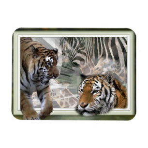 Ímã Tigres, Zebra, Girafa, Selva Primitiva
