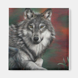 Imã Timber wolf in autumn woods resting