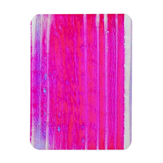 Ímã Tinta-Abstrato vibrante, rosa e riscas roxas (Vertical)