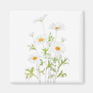 Imã tinta branca e aquarela da margarida Margaret