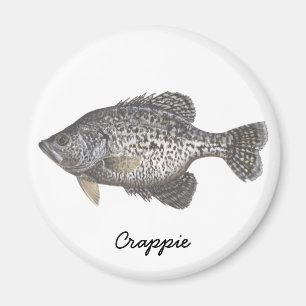 Imã TIPO DE PEIXE, tipo de peixe