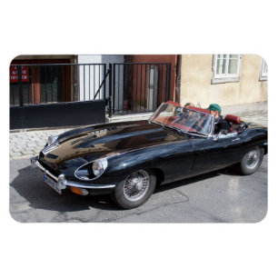 Ímã Tipo E Jaguar Preto