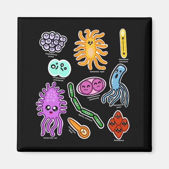 Imã Tipos De Bactérias (Frente)