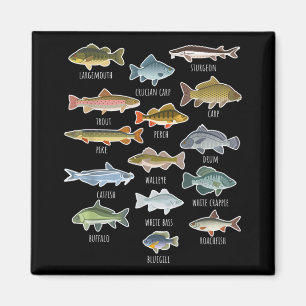 Imã Tipos De Espécies De Peixes Águas frescas