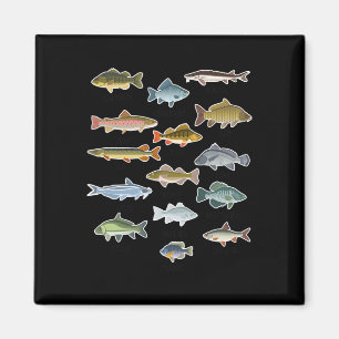 Imã Tipos De Pesca De Peixes Águas frescas