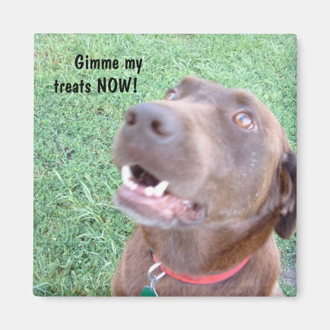 Imã Tira agora o ímã (Frente)