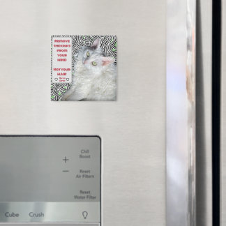 Imã Tire os Kinks da sua mente, não do seu cabelo