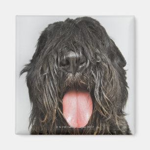 Imã Tiro do estúdio