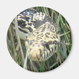 Imã Tiro na Cabeça de R4 Bull Snake