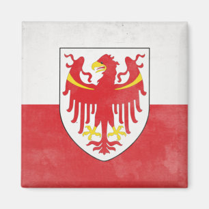Imã Tirol do Sul