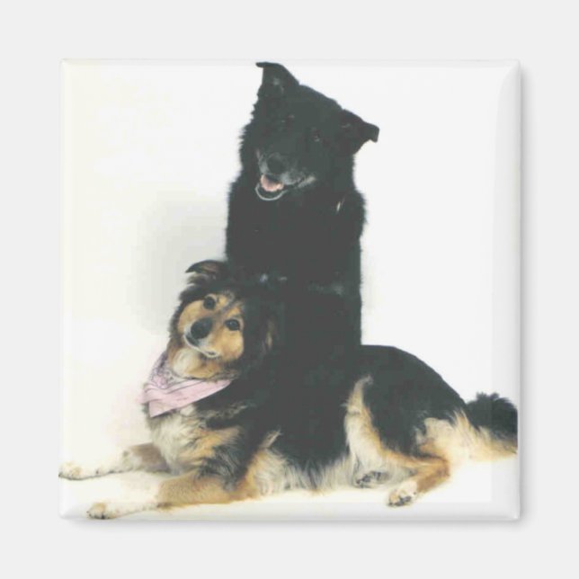 Imã TK e Ka'vik (Frente)