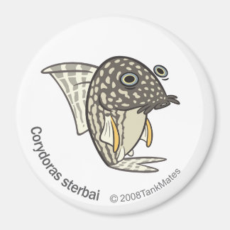 Imã TM-08-Corydoras sterbai