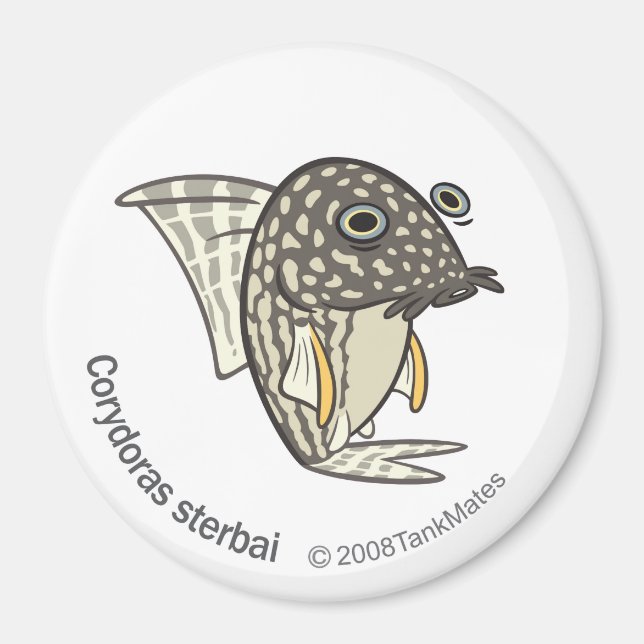 Imã TM-08-Corydoras sterbai (Frente)